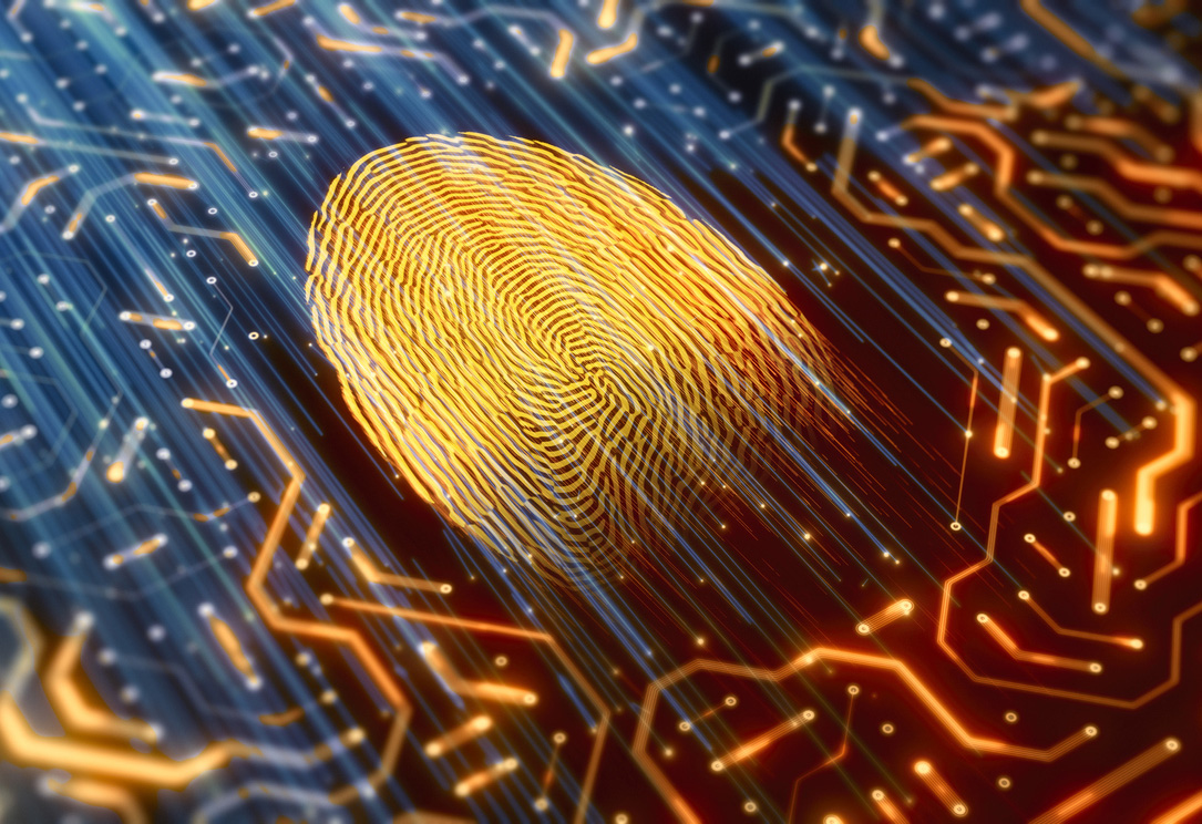 IRS Warns Against These Especially Dangerous Tax Scams